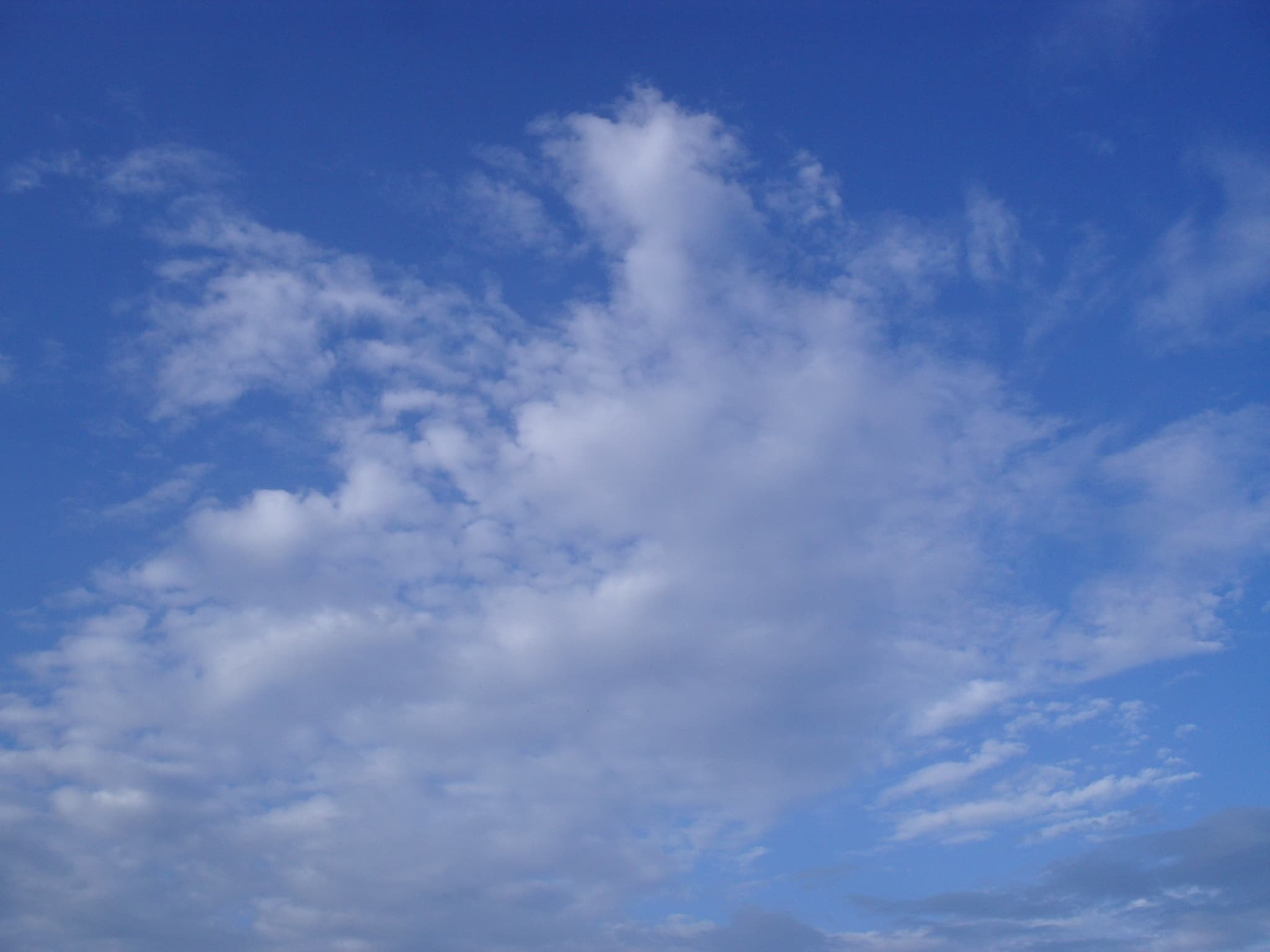Looking up at a clear blue sky with soft clouds
